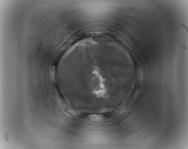 X0000101140328200807251031