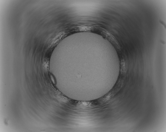 X0000101140329200807251031