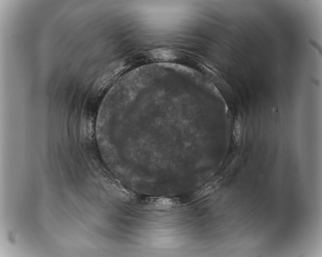 X0000101140330200807251031