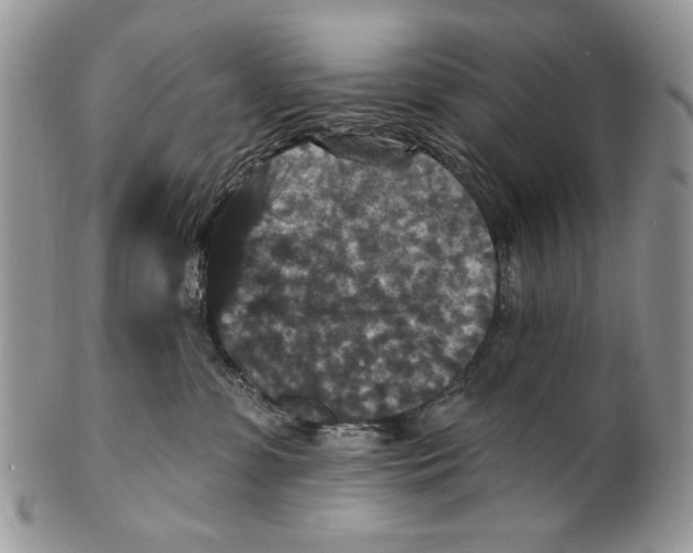 X0000101140331200807251031