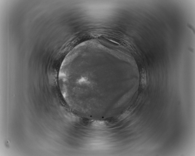 X0000101140332200807251031