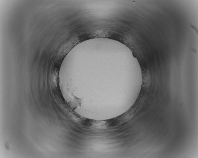 X0000101140334200807251031