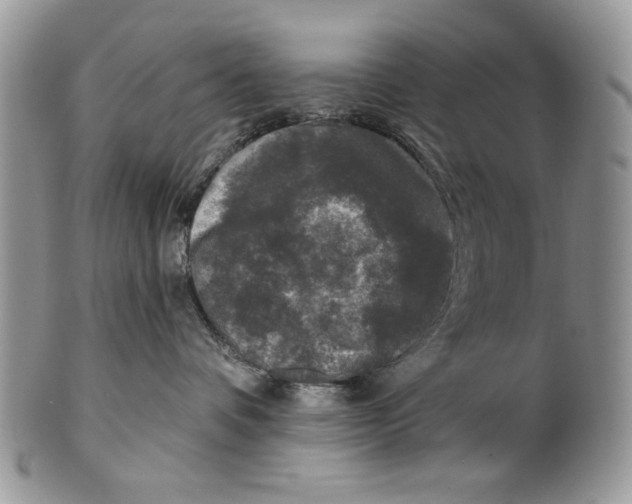 X0000101140336200807251031