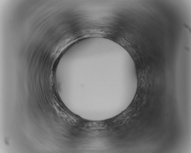 X0000101140338200807251031