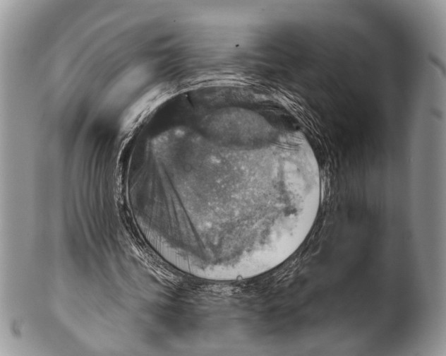 X0000101140339200807251031