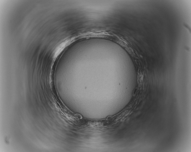 X0000101140340200807251031