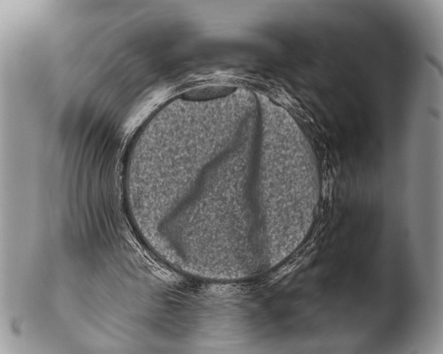 X0000101140341200807251031