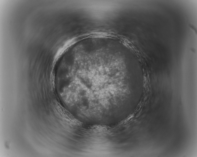 X0000101140343200807251031