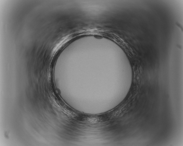 X0000101140344200807251031