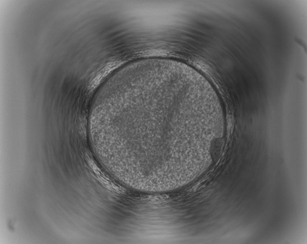 X0000101140345200807251031