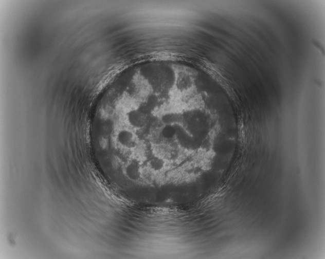 X0000101140347200807251031