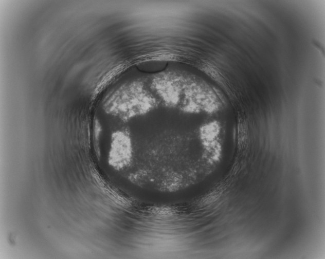 X0000101140349200807251031