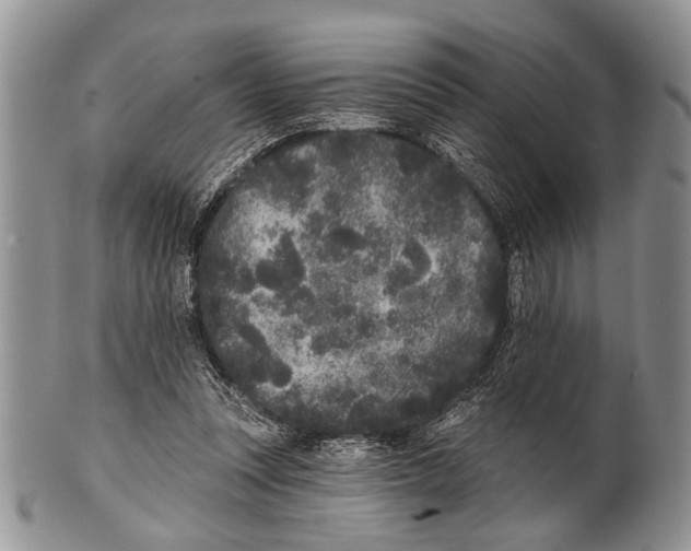 X0000101140351200807251031