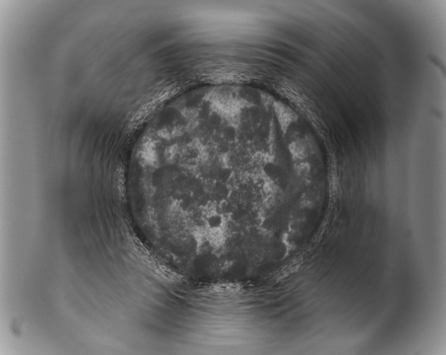 X0000101140353200807251031