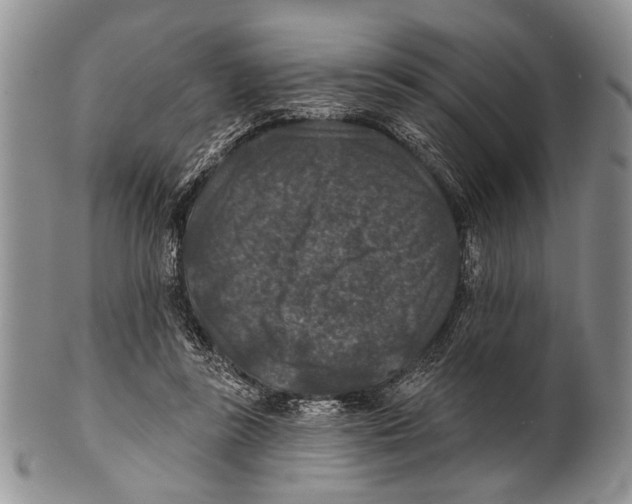 X0000101140355200807251031