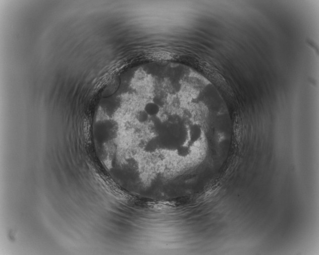 X0000101140359200807251031