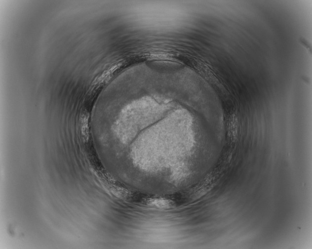 X0000101140360200807251031