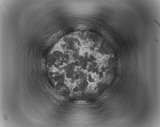 X0000101140361200807251031