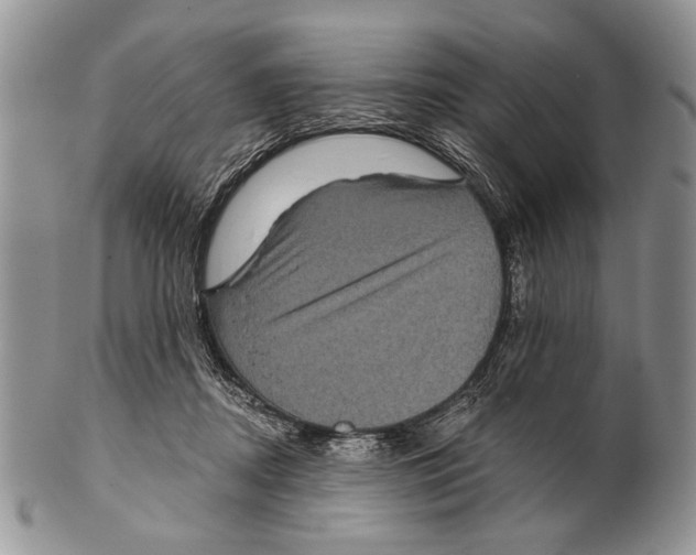 X0000101140362200807251031