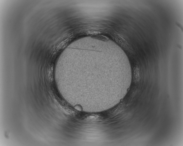 X0000101140364200807251031