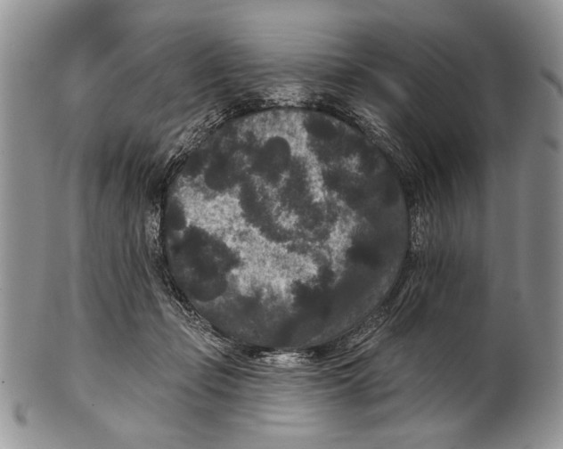 X0000101140365200807251031