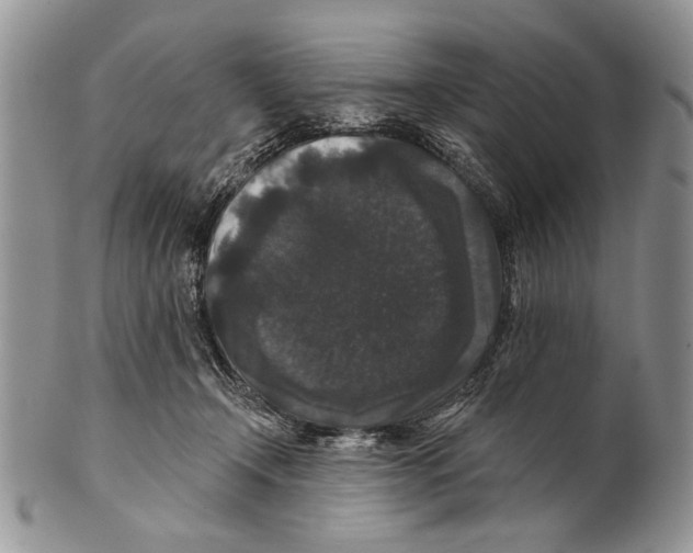 X0000101140366200807251031