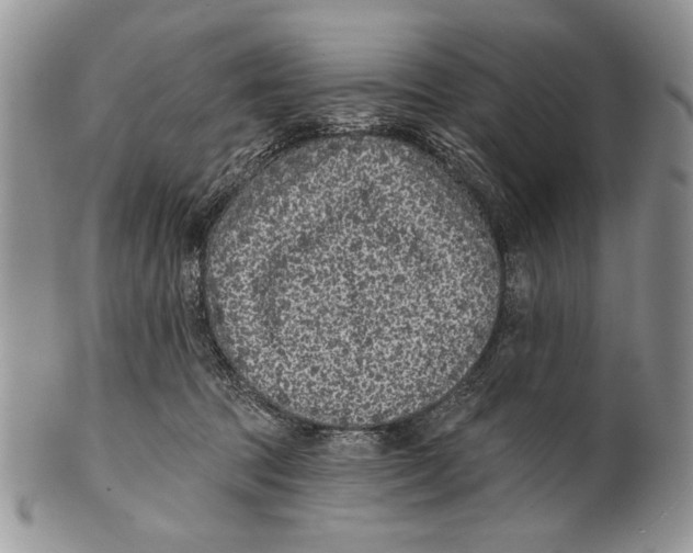 X0000101140369200807251031