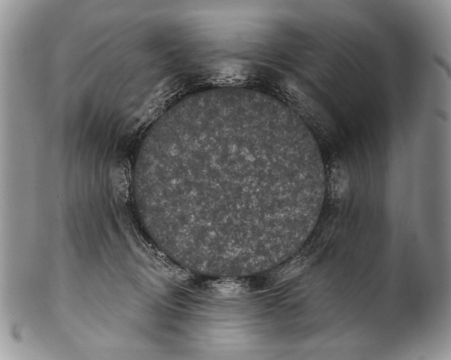 X0000101140370200807251031