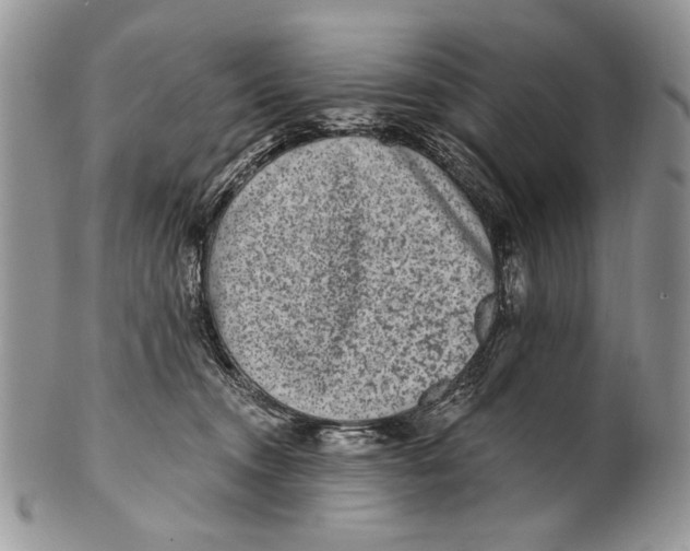 X0000101140372200807251031