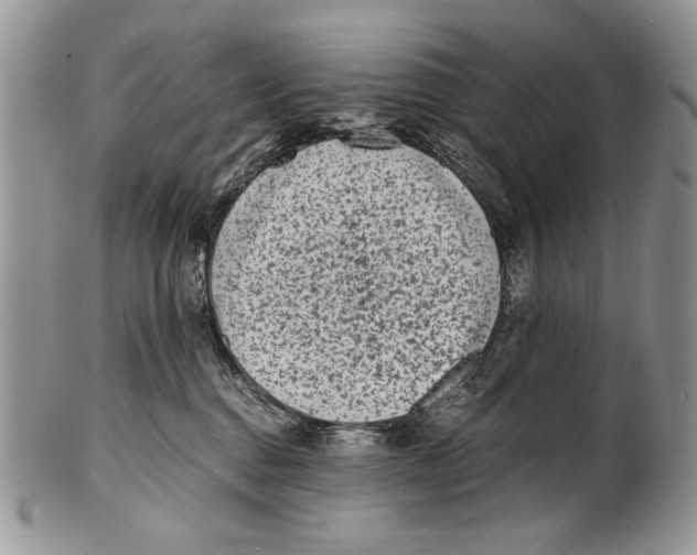 X0000101140376200807251031