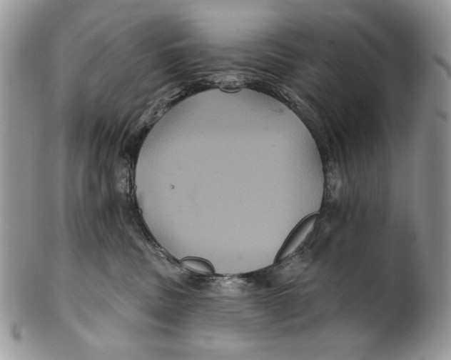 X0000101140379200807251031