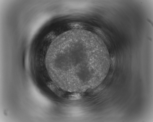 X0000101140381200807251031