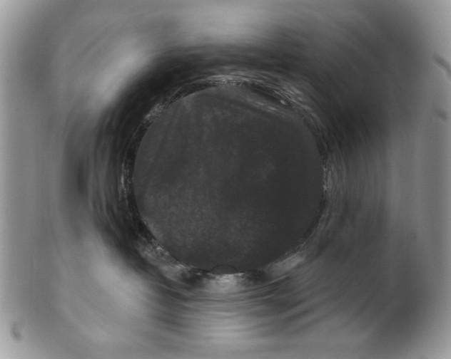 X0000101140382200807251031