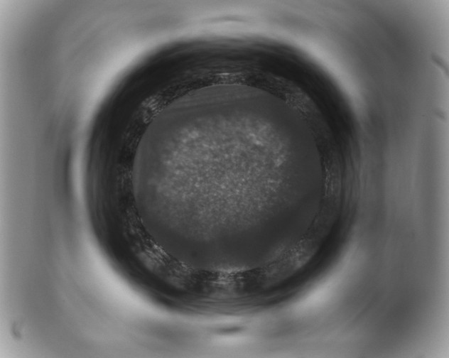 X0000101140383200807251031