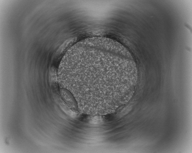 X0000101140384200807251031