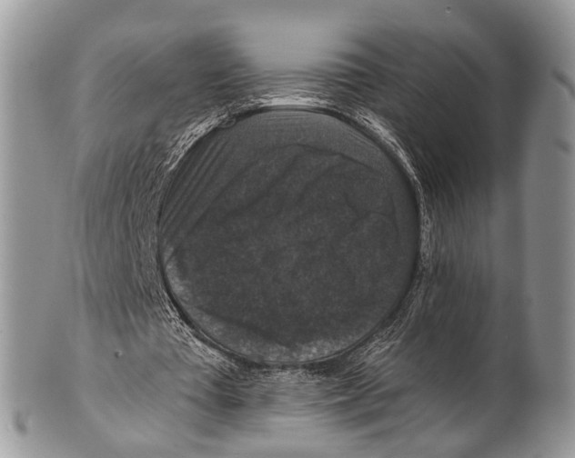 X0000101140385200807251031