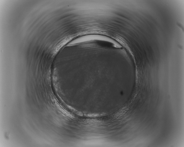 X0000101140389200807251031