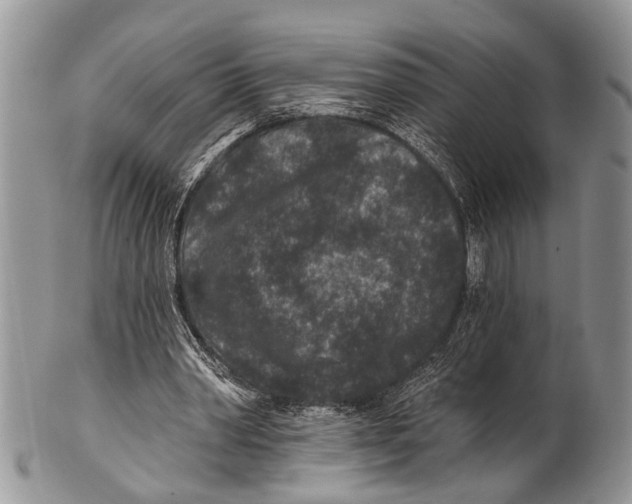 X0000101140390200807251031