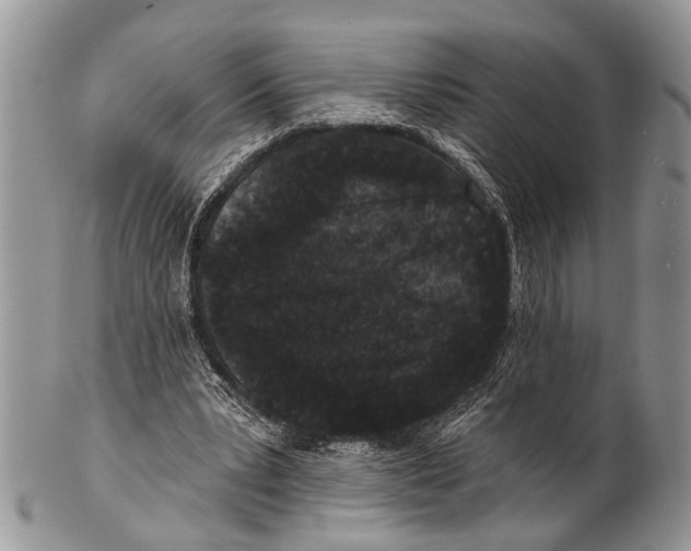 X0000101140391200807251031