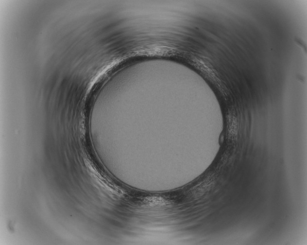 X0000101140392200807251031