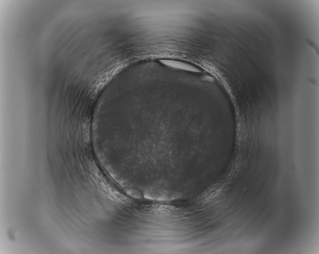 X0000101140393200807251031