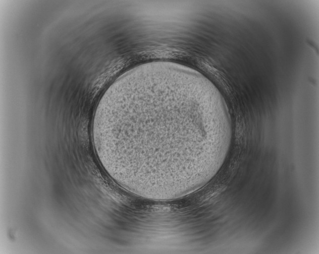 X0000101140394200807251031