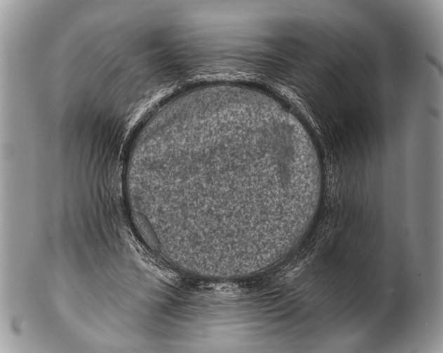 X0000101140395200807251031