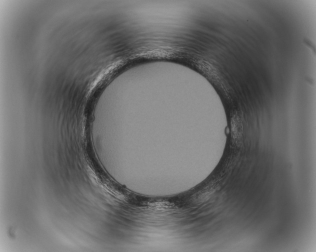 X0000101140396200807251031