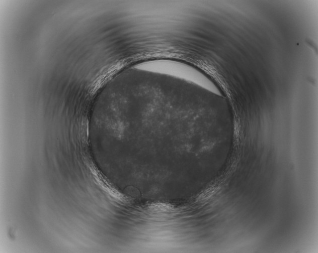 X0000101140397200807251031