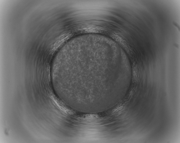 X0000101140398200807251030