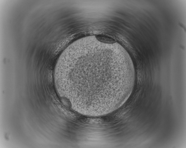 X0000101140401200807251030