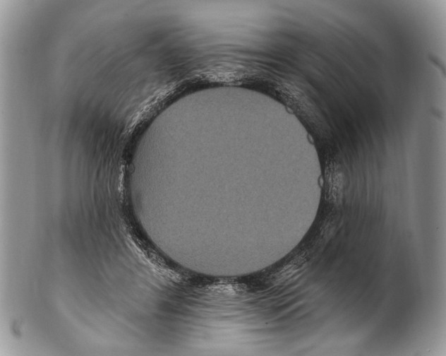 X0000101140404200807251030