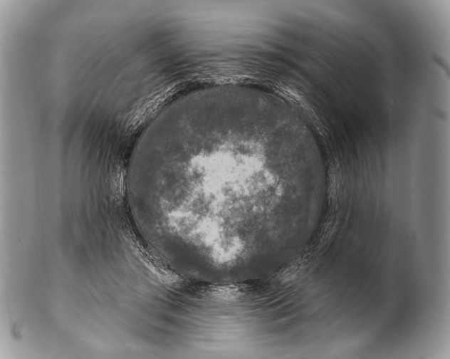 X0000101140405200807251030