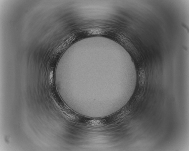 X0000101140406200807251030